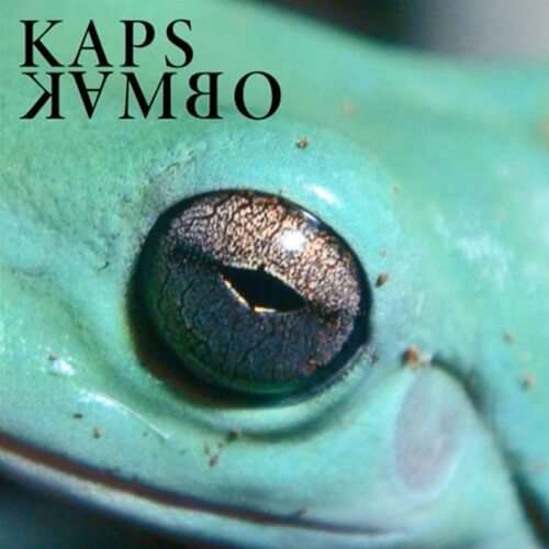 Kambo