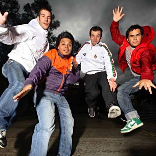 Macacos do Chinês