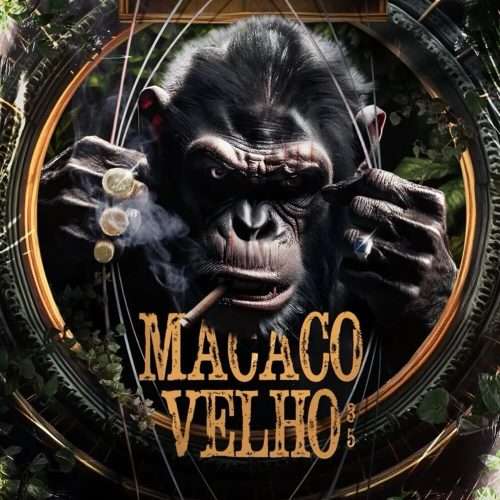 Macaco Velho