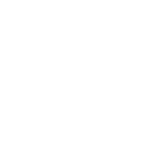 Ferro Bar